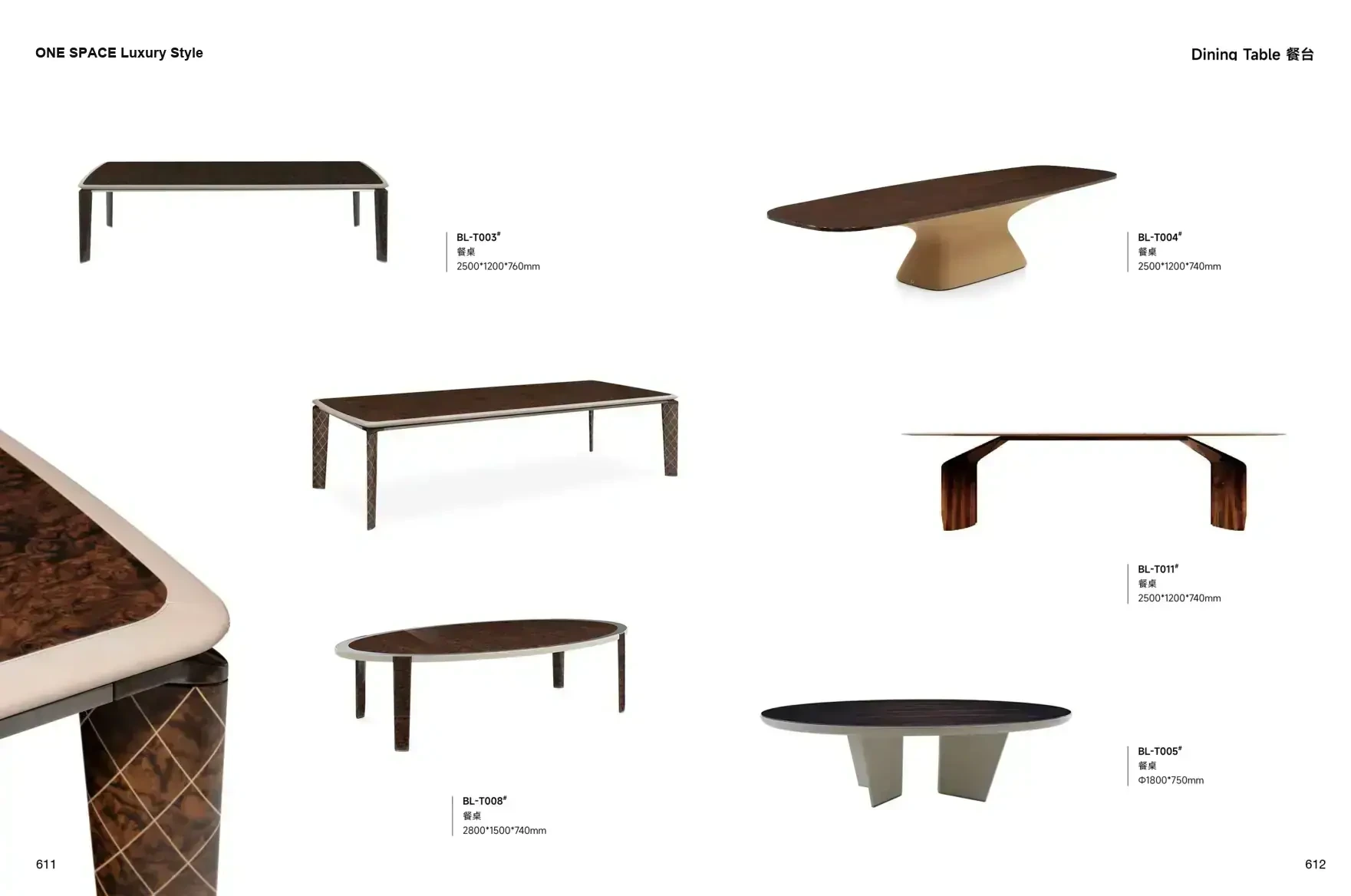 FOSHAN INTERIORS Luxury Style 1 page 309