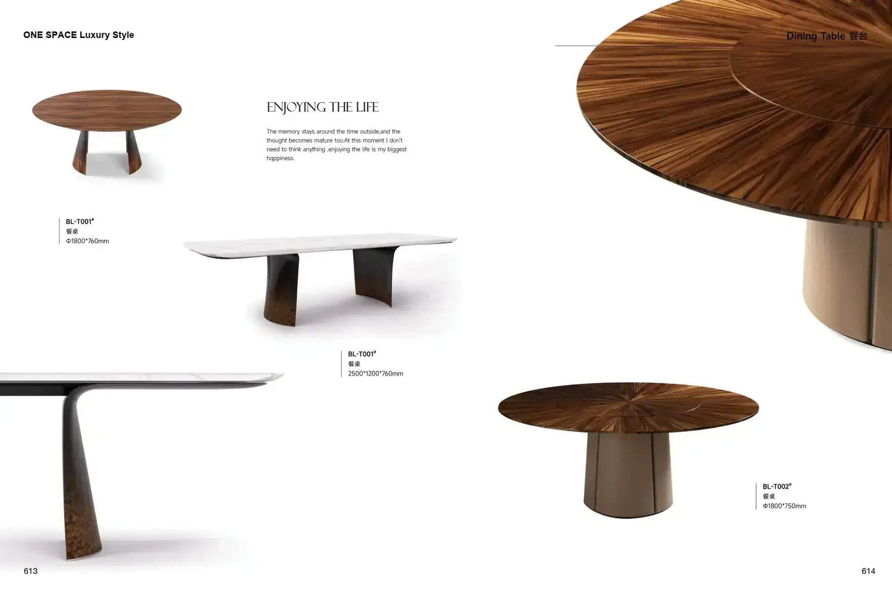 FOSHAN INTERIORS Luxury Style 1 page 310